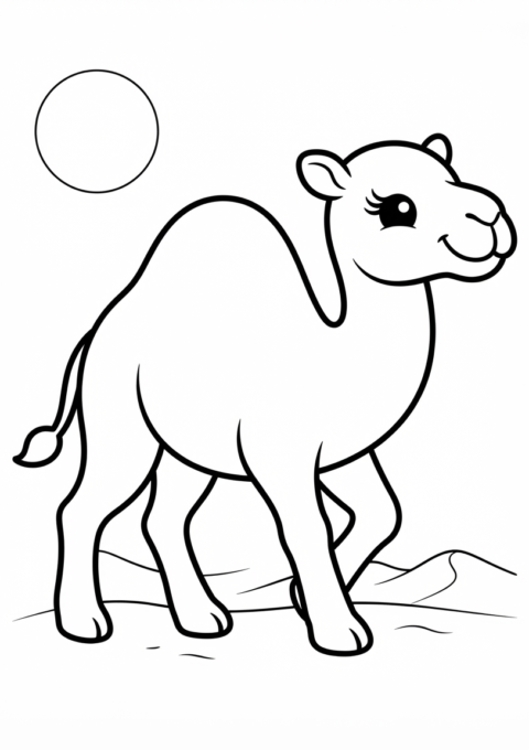 Camel