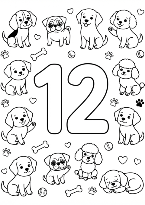 Number 12