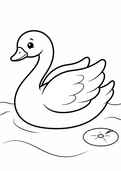 Swan